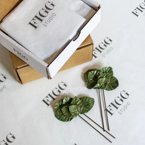 @figg_studio