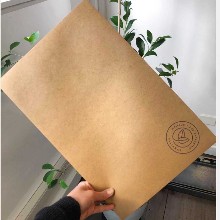 noissue Stock Kraft Mailers