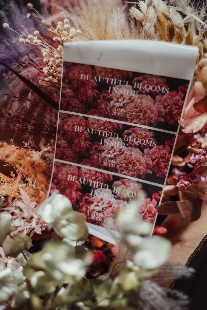 From Courageously Creative Flowers to Houseplant Therapy with Iris & Co.