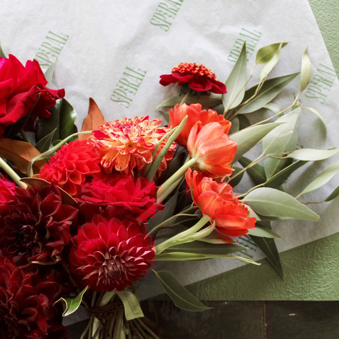 SPIRAL Botanicals x noissue
