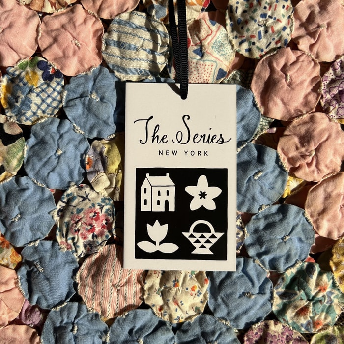 The Series x noissue