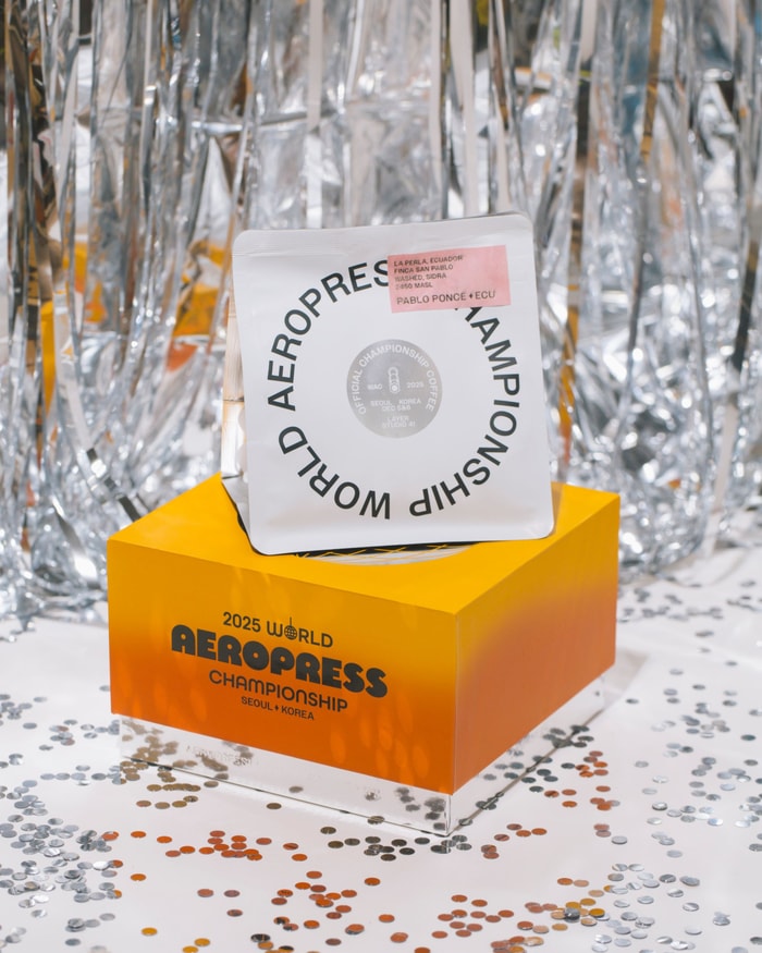 Angel & Anchor x noissue