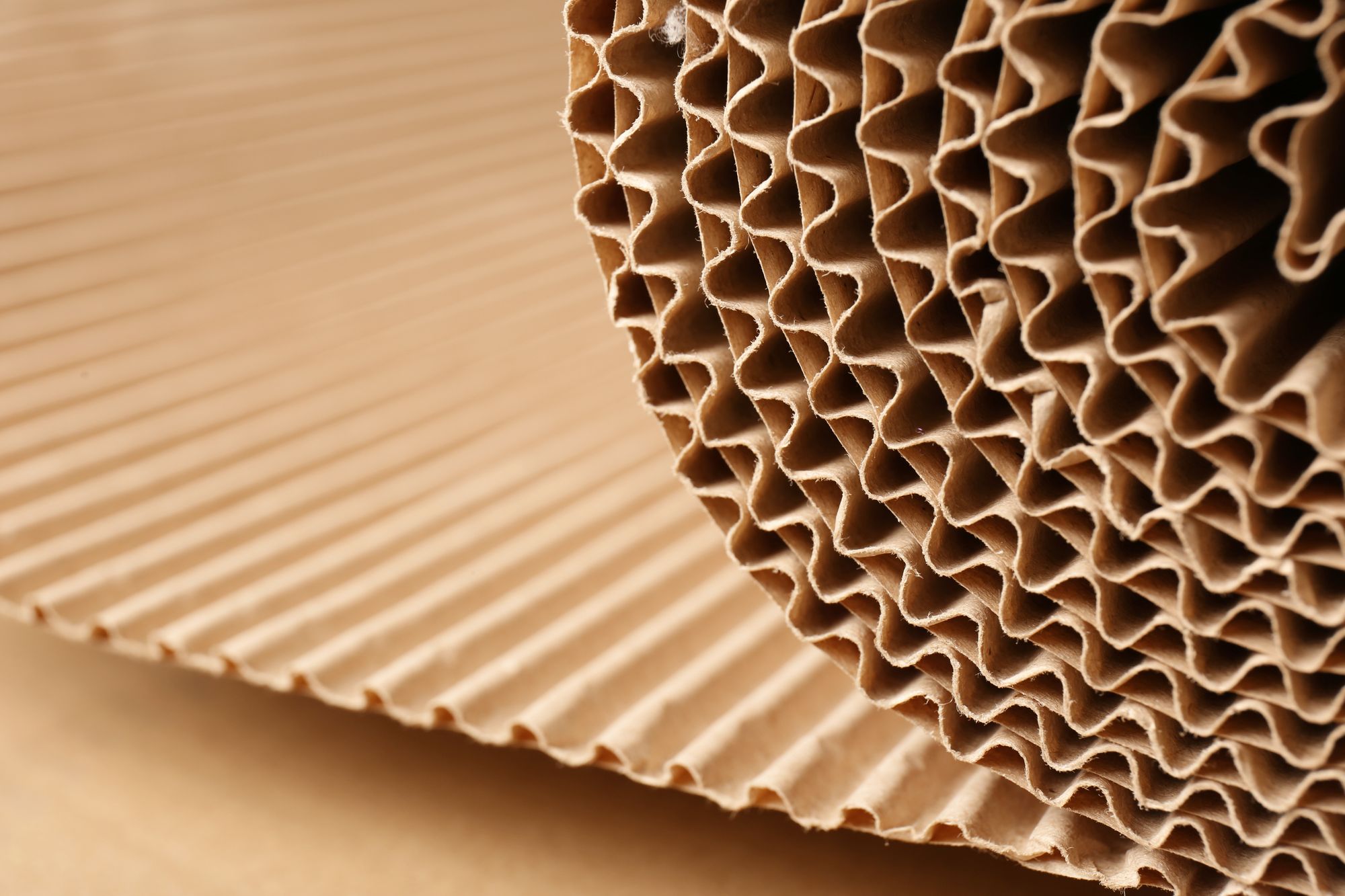 corrugated cardboard