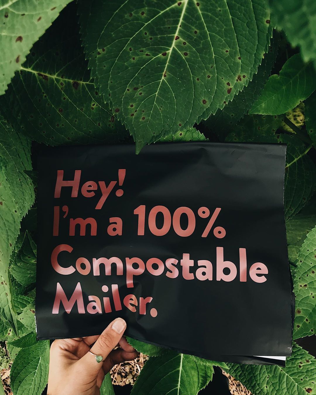 compostable mailer