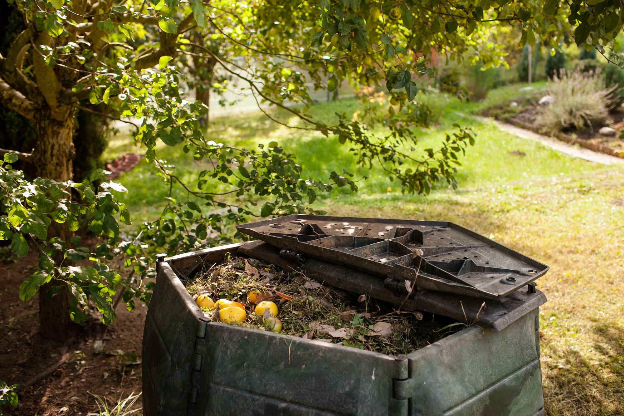 How to Start a Backyard Compost