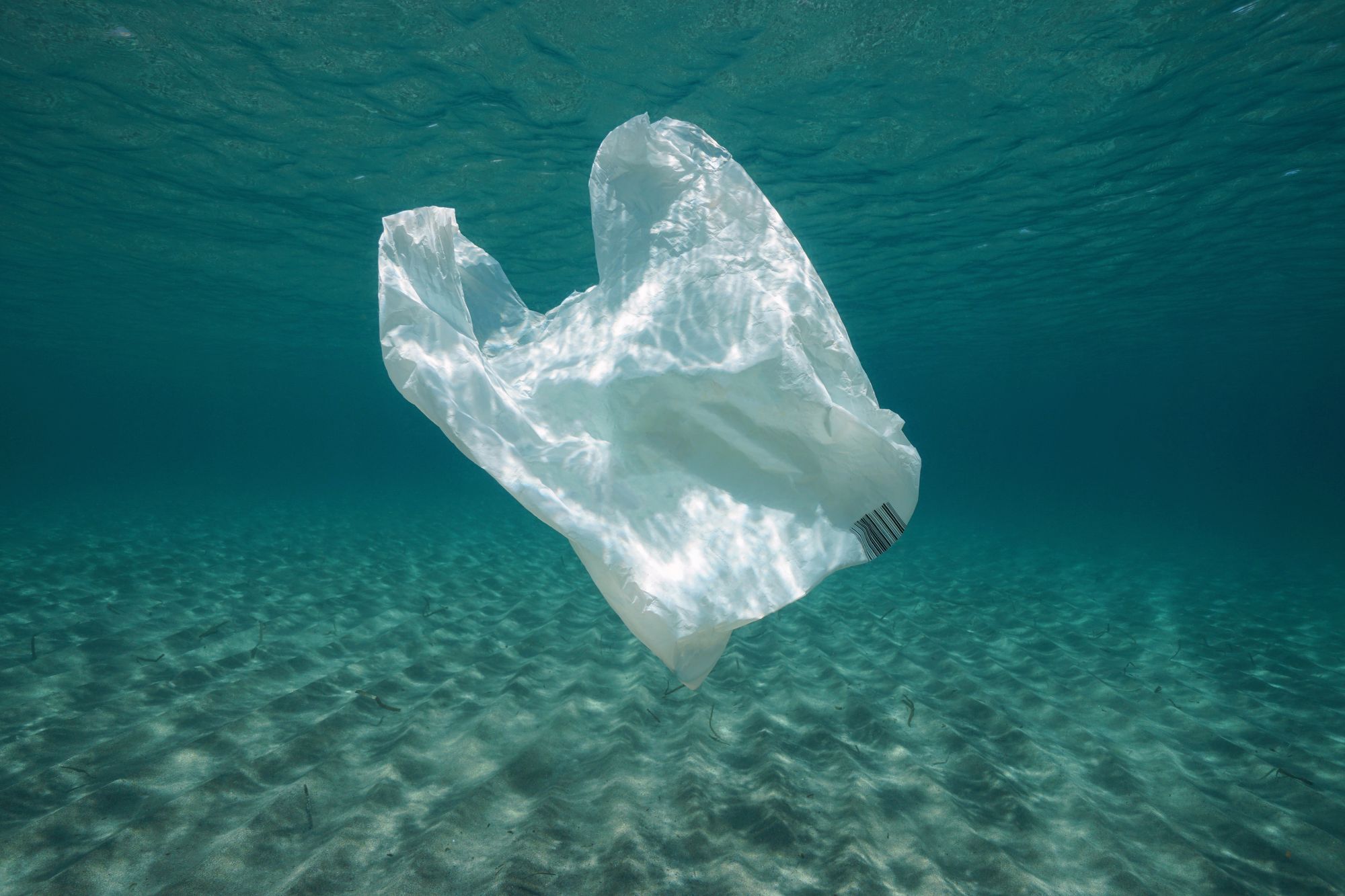 Plastic Recycling Facts — The truth about recycling plastic bags - RTS