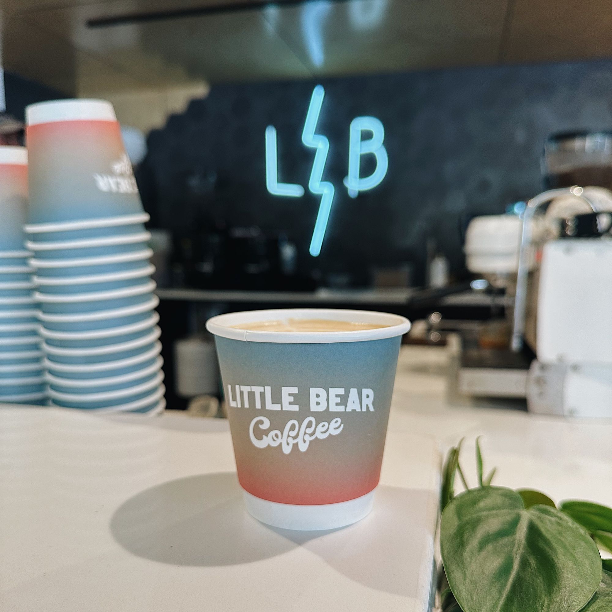 Little Bear Coffee x noissue