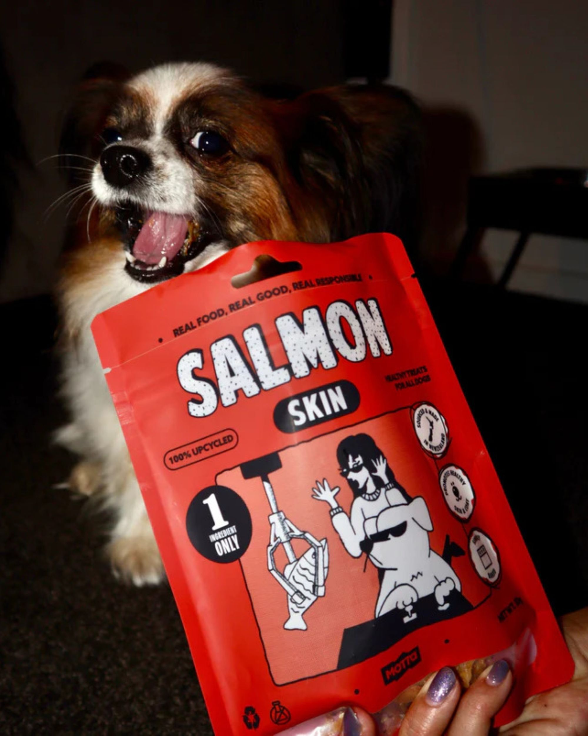 How to Choose the Perfect Dog Food Bag Sizes for Your Product Line