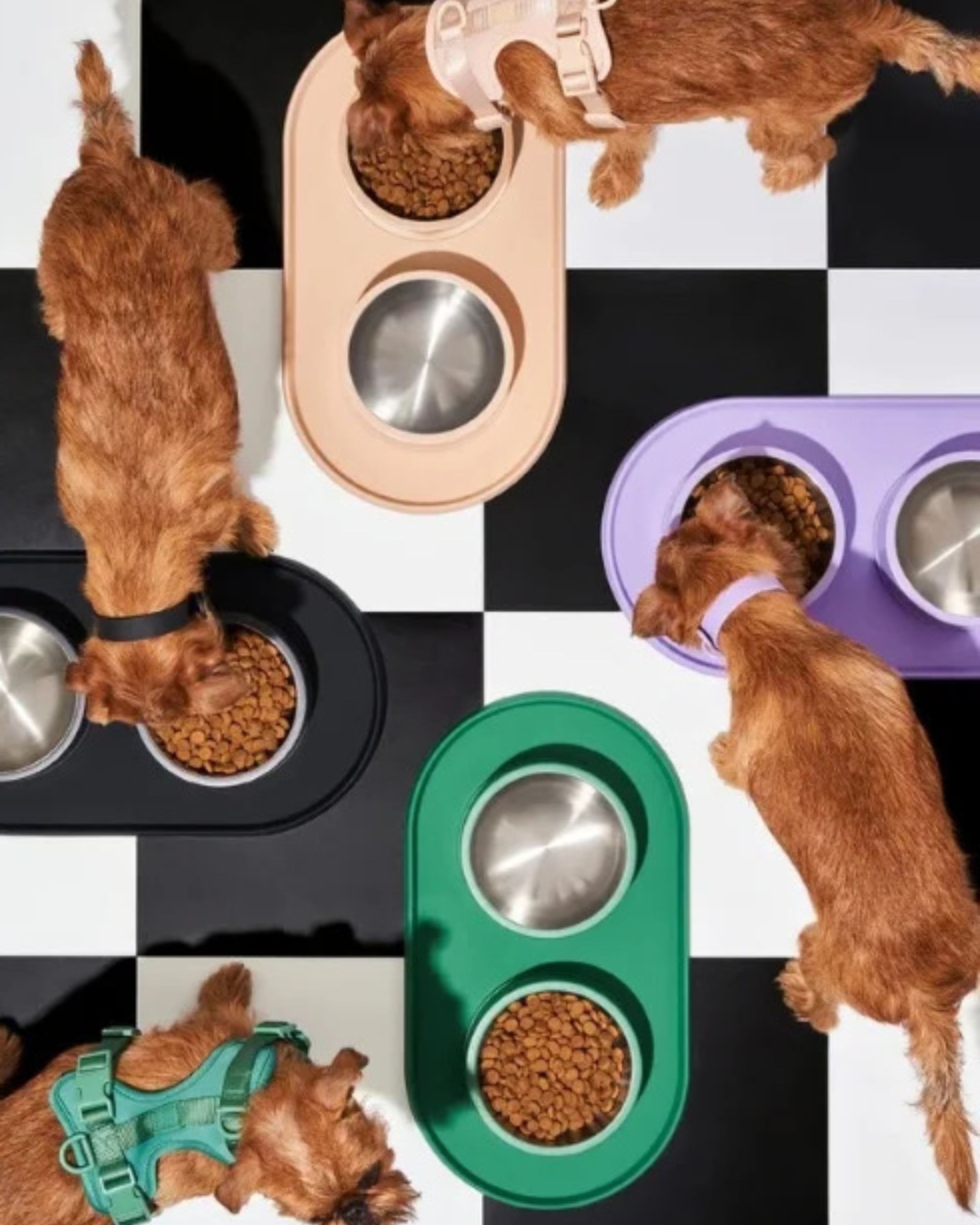 what-makes-pet-food-advertising-campaigns-go-viral