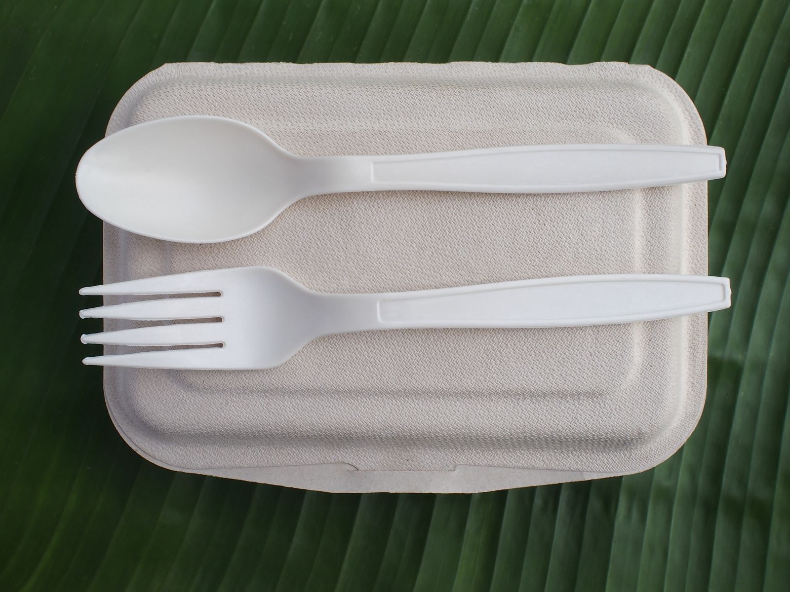 what-is-pla-packaging-meet-an-eco-friendly-alternative-to-plastic