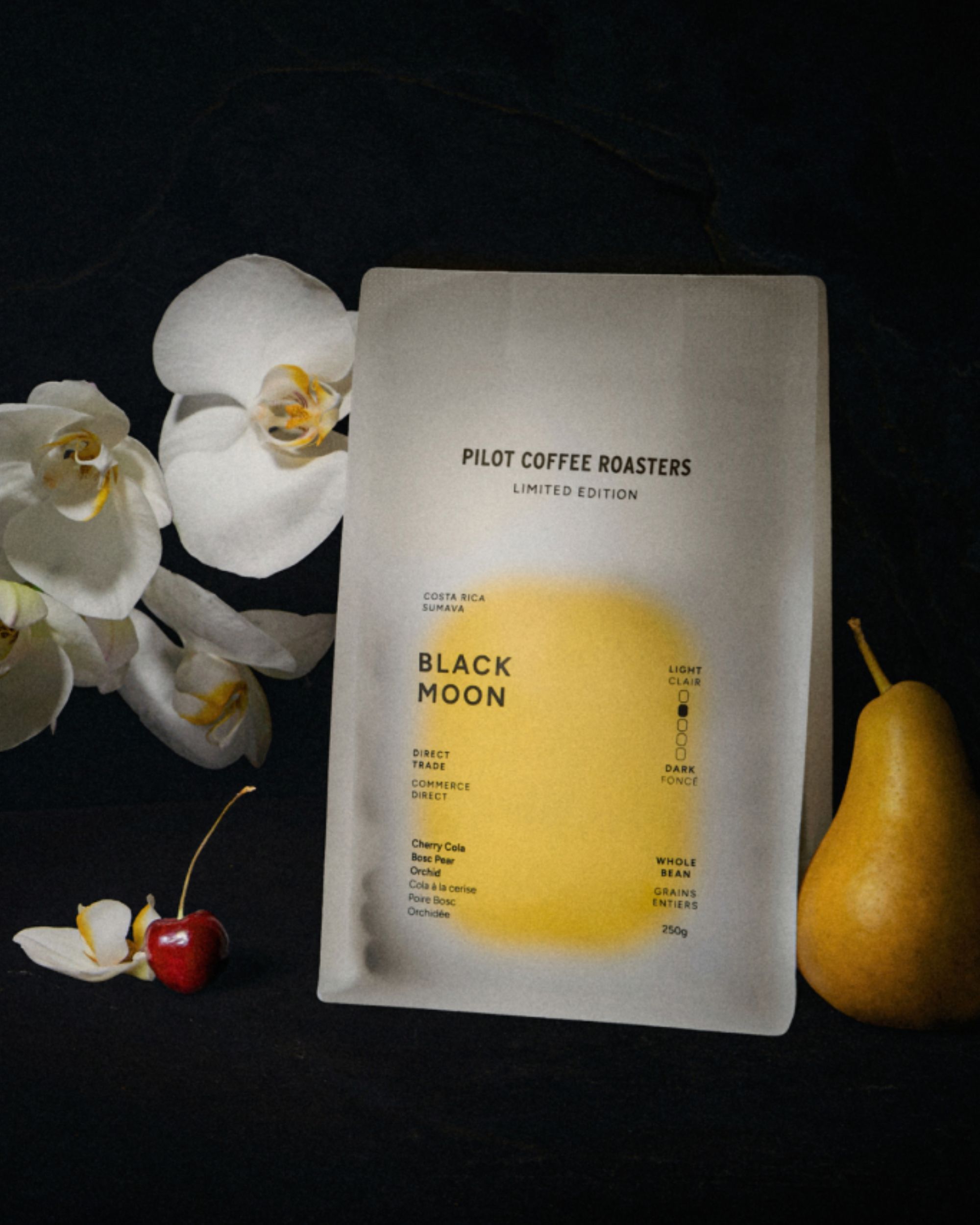 Pilot Coffee Roasters x noissue