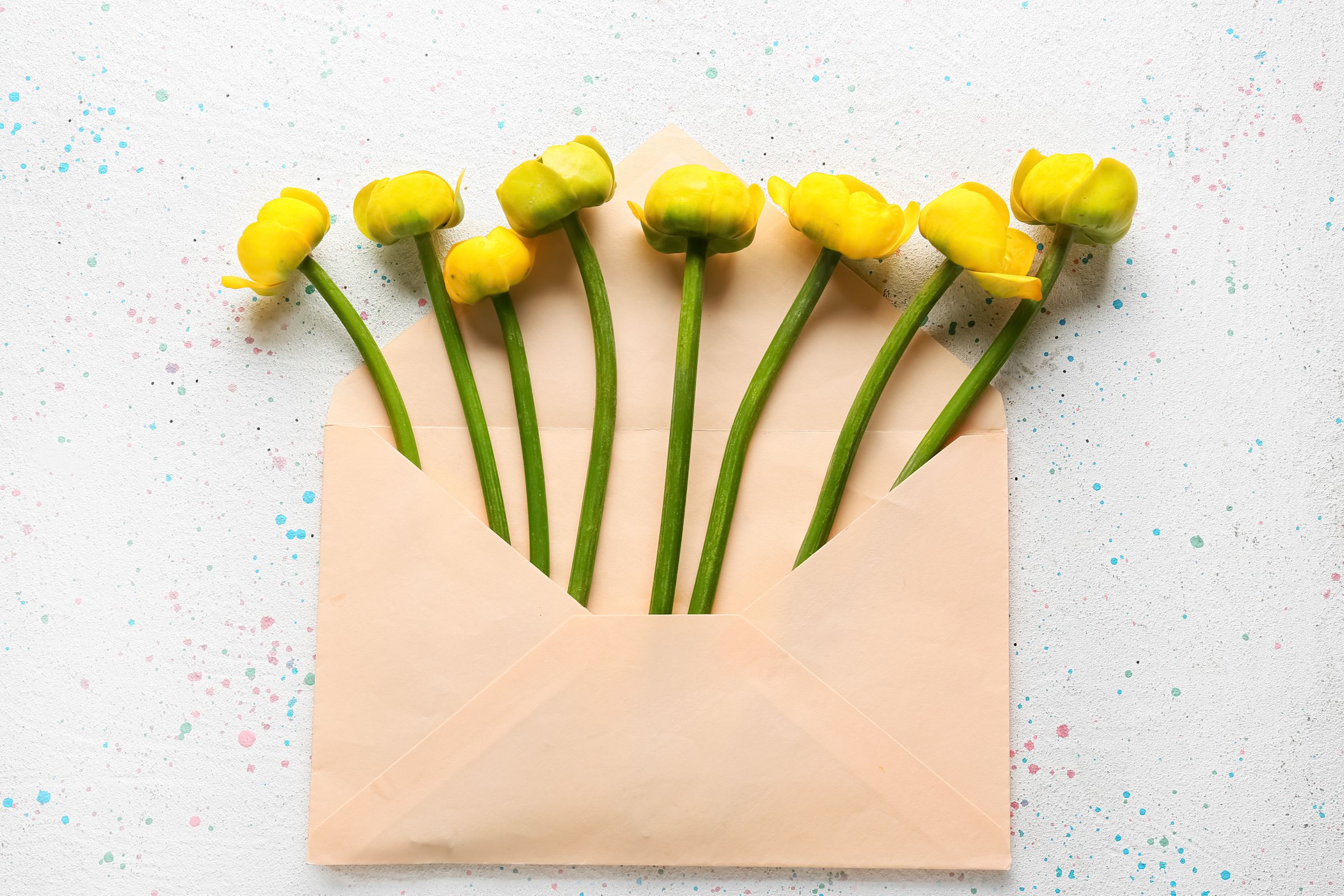 How to Ship Plants A Practical Guide