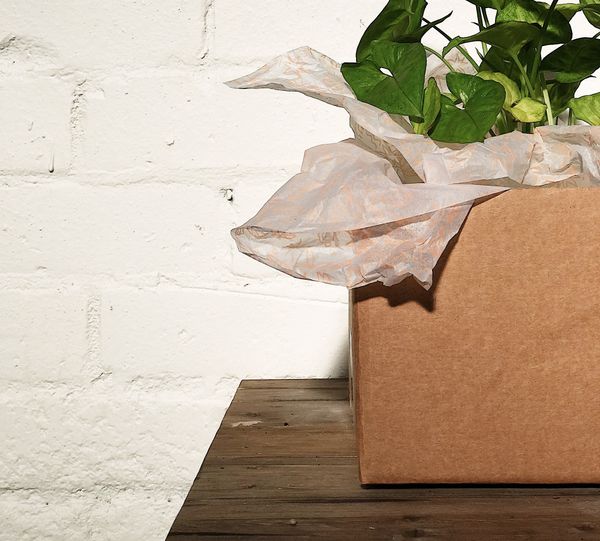Introducing: noissue's 2019 Sustainable Packaging Study