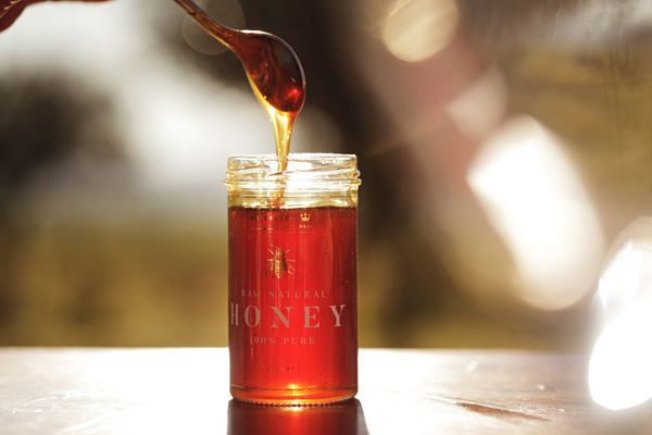 Maters & Co: Plastic-free, 100% Pure, & Natural Honey