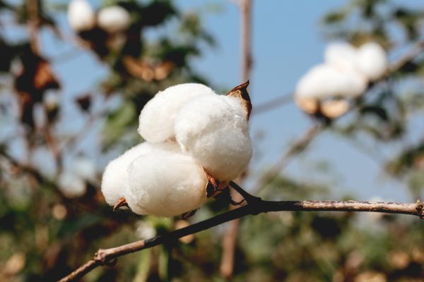 How To Source Sustainable Fabrics For Your Fashion Brand