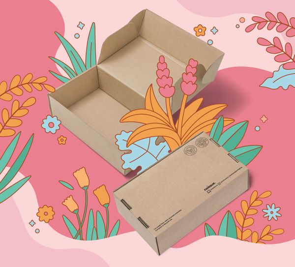 Here's Everything You Need to Know About noissue's Eco-Friendly Stock Boxes