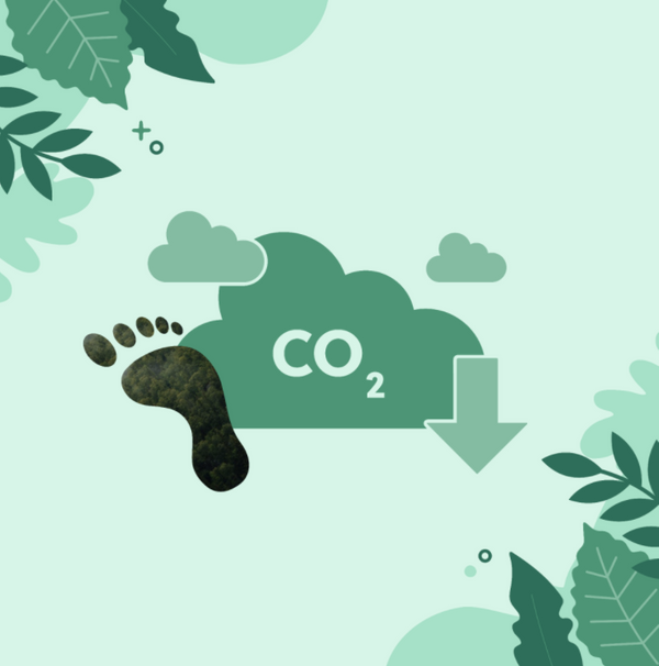 How We’re Working on Carbon Neutral Deliveries