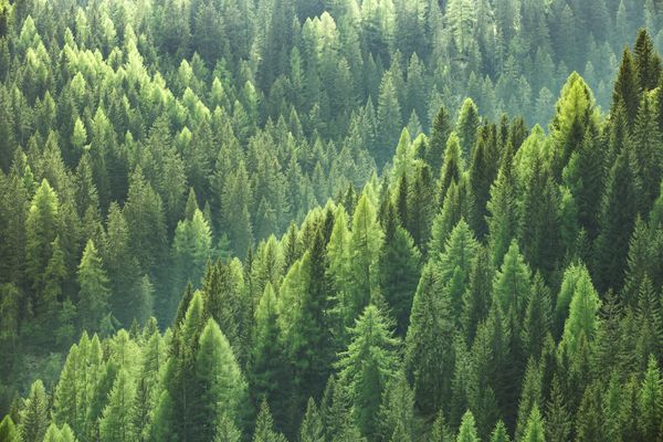 What is Greenwashing? How to Separate Sustainability Facts from Fiction