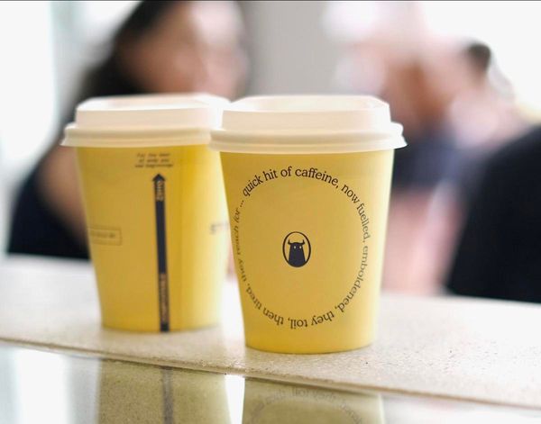 Our Guide to Designing the Perfect Compostable Coffee Cup