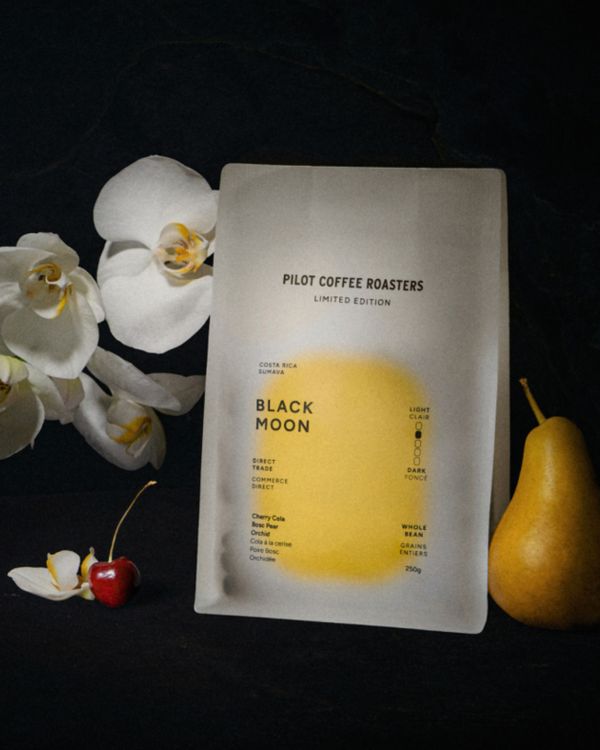 Pilot Coffee Roasters x noissue